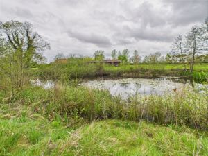 Wildlife Pond- click for photo gallery